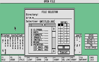 [Screen-shot: 1st Word]