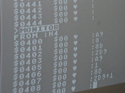 [Photo: Screen-shot of memory addresses]