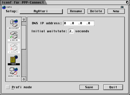 [Screen-shot: DNS settings]