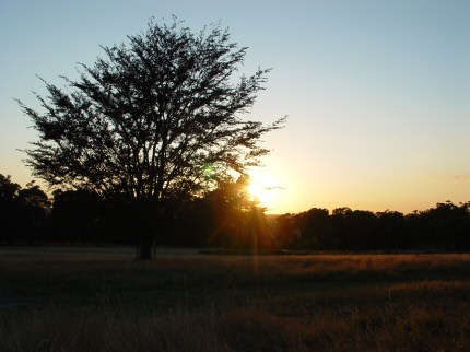 [Photo: Sunset at Richmond Park]