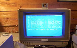 [Screen-shot: DOS screen]