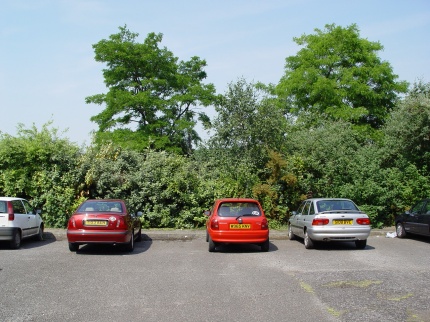 [Photo: Cars at JagFest UK 2003]