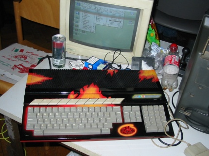 [Photo: Painted Falcon030]