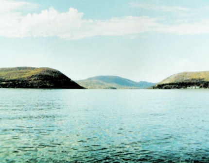 [Photo: Printed from Photoshop]