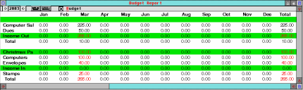 [Screen-shot: Budget report]