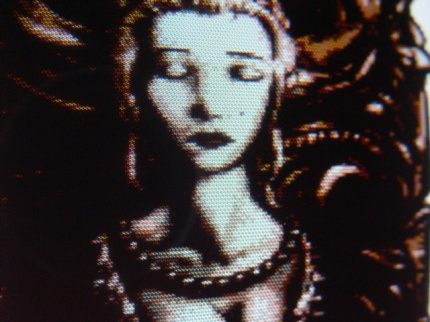 [Photo: Demo screen-shot]