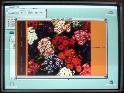 [Photo: Screen-shot from monitor]