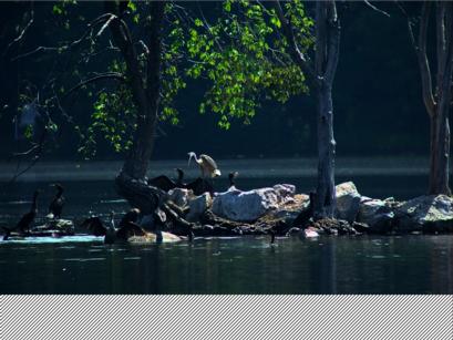 [Photo: Before processing]