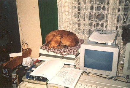 [Photo: Harry Reminder's old computer room]
