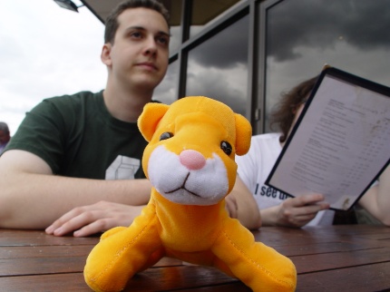 [Screen-shot: Stone and fluffy toy]