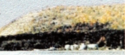 [Detail: Calamus Star Screened output]