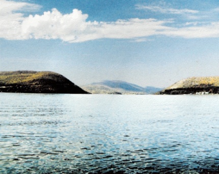 [Photo: Printed from Calamus Star Screened]