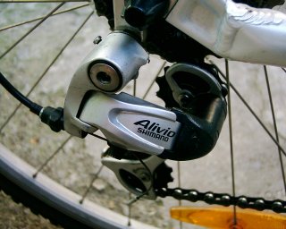 Tahle fotka se taky povedla. :-)