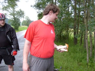 Fandal houby na�el.