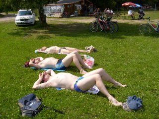 Nep�l� se tady n�kde maso? ;-)