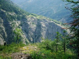 Vyhl�dka za dome�kem.