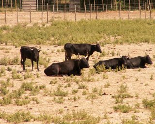 To� chlapi, m�te tu n�kdo pod kra�asama �erven� tren�rky? ;-)