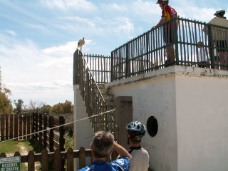 Vyhl�dka je moment�ln� okupov�na bojov�m ��pem. :-)