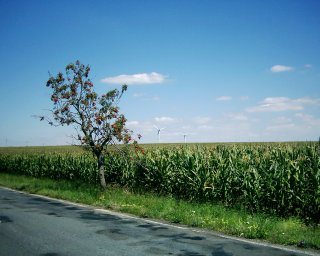 Po�as� se dnes povedlo. A&nbsp;hlavn� nefouk� ten stra�n� protiv�tr jako v�era.