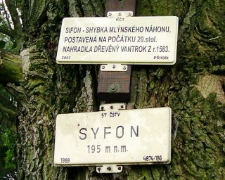 To� s tvrdym nebo s m�kym? ...Dycinky s tvrdym!