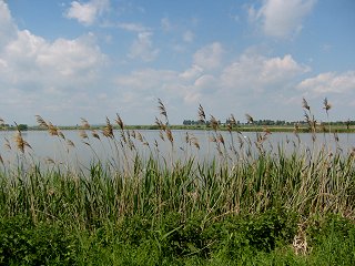 fotka z m� fotogalerie